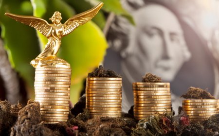 Çeyrek Altın Yatırımı Yaparken Dikkat Edilmesi Gereken Ekonomik Riskler