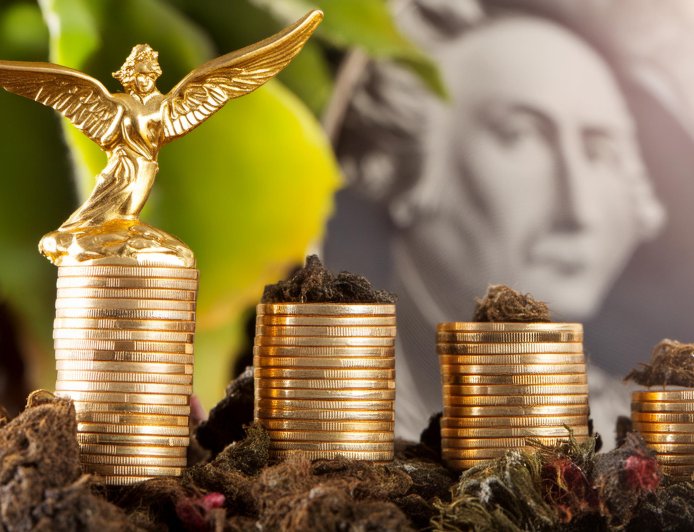 Çeyrek Altın Yatırımı Yaparken Dikkat Edilmesi Gereken Ekonomik Riskler